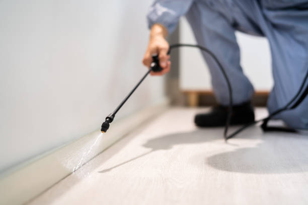 Certified termite inspector examining foundation in Avimor